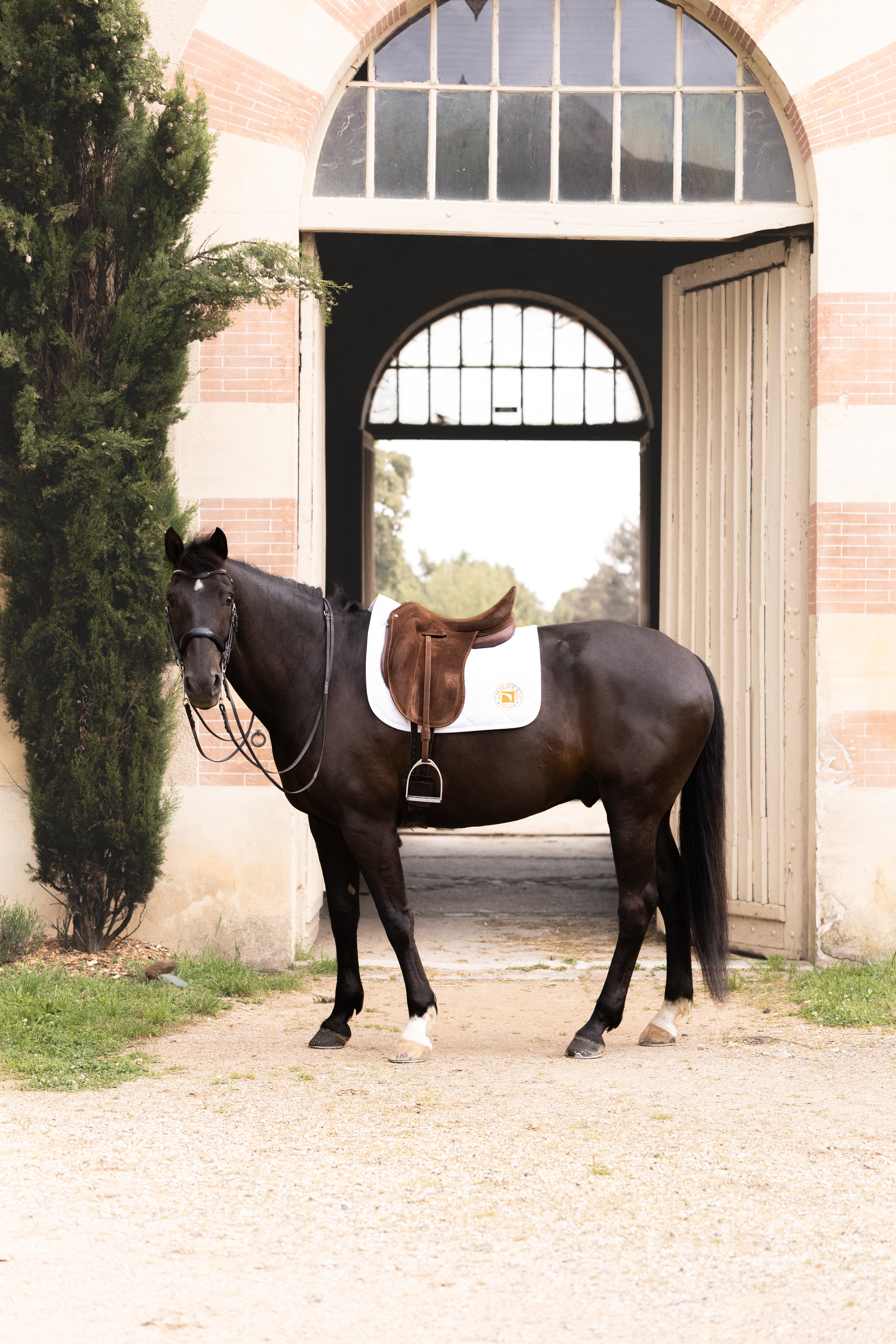 Childeric Dressage Saddle Pad White/Orange